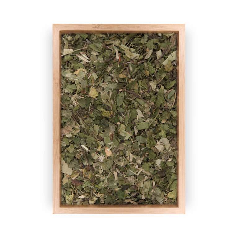 Tisana Drenante con Orthosiphon e Betulla Dr. Vandelli